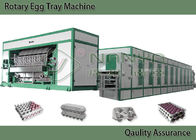 توفير معدات صب اللب الموفرة للطاقة لعلبة البيض ، كرتون البيض متعدد الطبقات