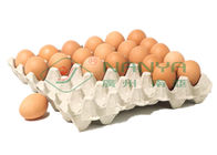 100kw خط إنتاج علبة البيض