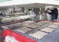 مزرعة الدجاج علبة البيض الكرتون ورقة آلة صب الترددية