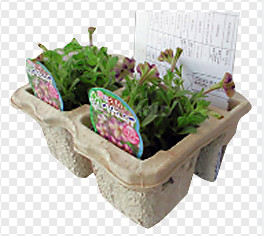 الترددية مربع / خط إنتاج البيض صينية مع الورق المعاد تدويره 1400pcs / ساعة