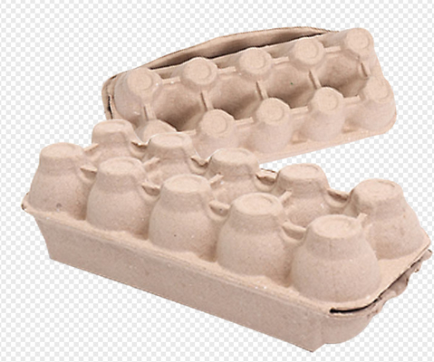 لب الورق مصبوب ضرار نوع البيض مربع مع آلة 2400Pcs/H