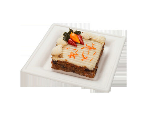 270kgs / h العذراء لب لوحة ماكينة صنع اللب صينية المعدات