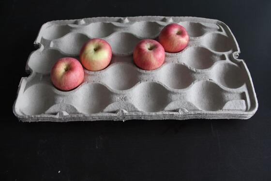 آلة صنع صينية الورق ذات سعة متوسطة مع مجفف