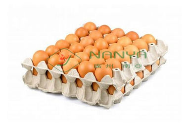 نفايات ورقية صب اللب آلات صندوق البيض خط إنتاج 4000Pcs / H