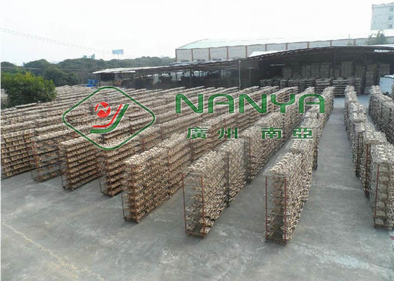 نصف التلقائي آلة إعادة تدوير لب صينية مع الشمس تجفيف / 1200PCS / H