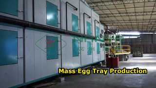 ماكينة صنع أطباق البيض الأوتوماتيكية بالكامل/صينية البيض ذات الإنتاج الضخم/ماكينة صنع الكرتون